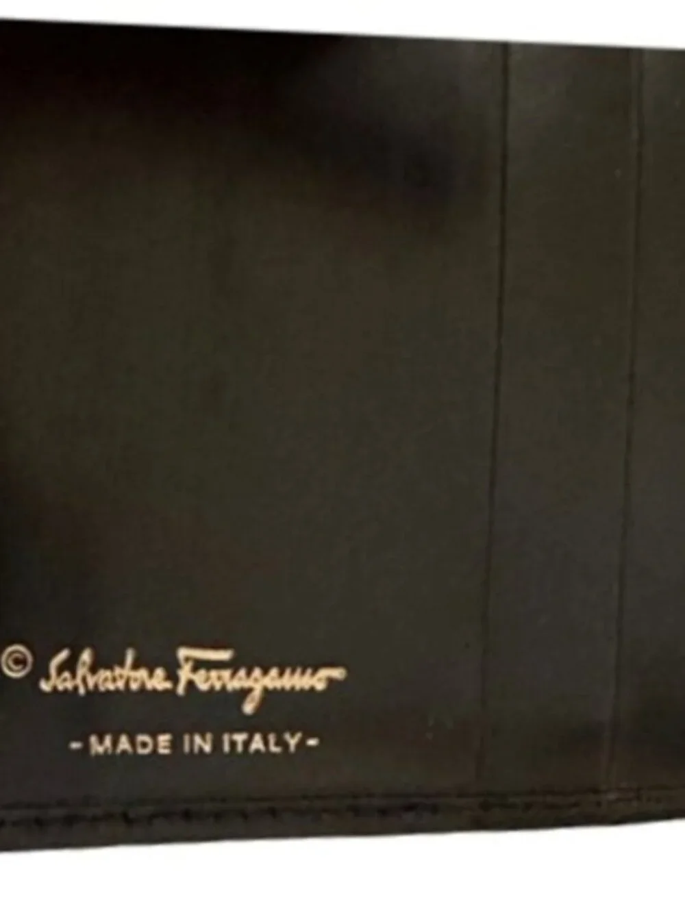 Salvatore Ferragamo compact mini